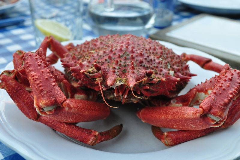 Araignée de Mer - Temps de Cuisson & Préparation - QuelleCuisson.com
