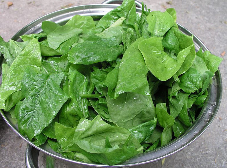 Épinards - Temps de Cuisson & Préparation - QuelleCuisson.com
