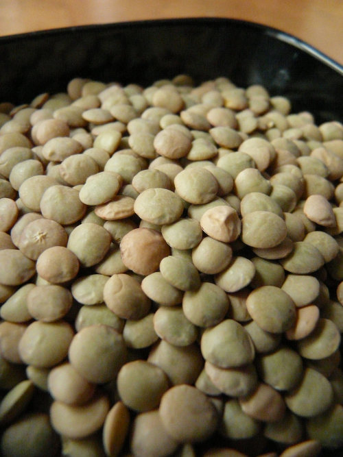 Lentilles Temps de Cuisson & Préparation