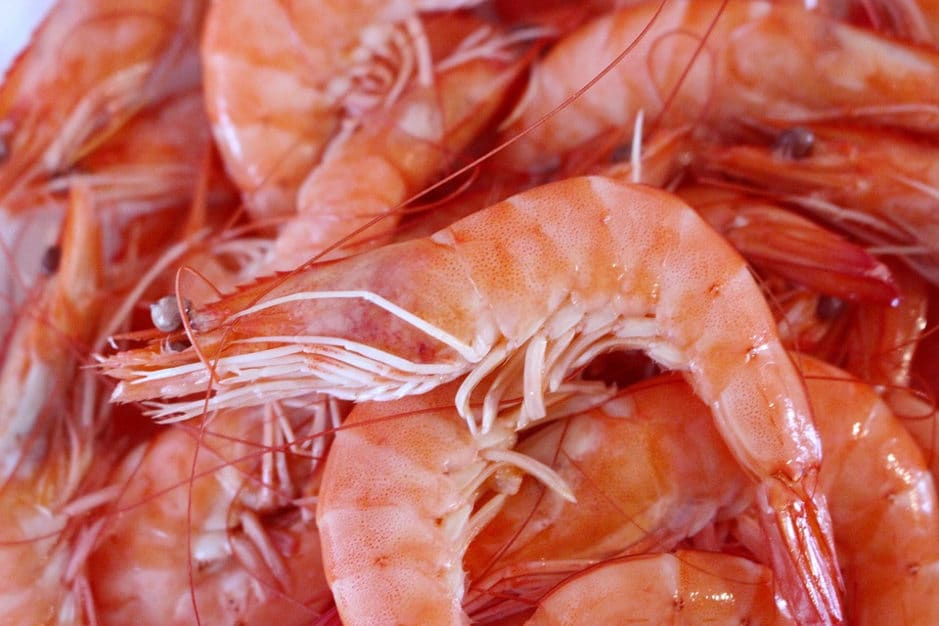 Crevettes Temps de Cuisson & Préparation
